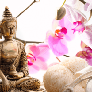Lerne den Ayurveda kennen und seine Möglichkeiten für ein gesundes Leben