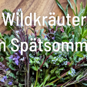 Wildkräuter-Zauber im Spätsommer